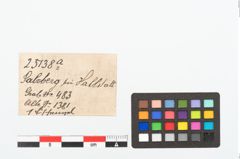 Etikett zu Bronzeangelhaken (NHMW-PRAE-025138a)
